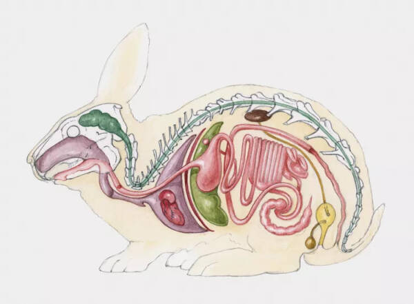 2023092379507909.jpeg 5(1).jpeg