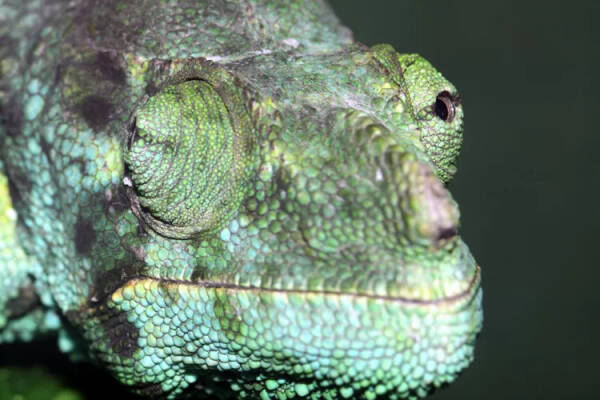 2023092385424757.jpeg 7(1).jpeg