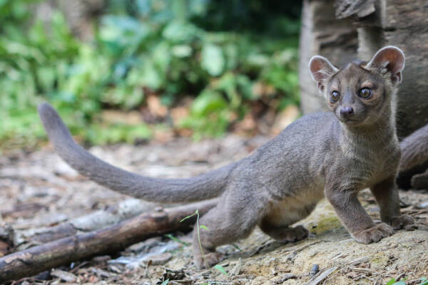 2023092410294754.jpeg 11(1).jpeg