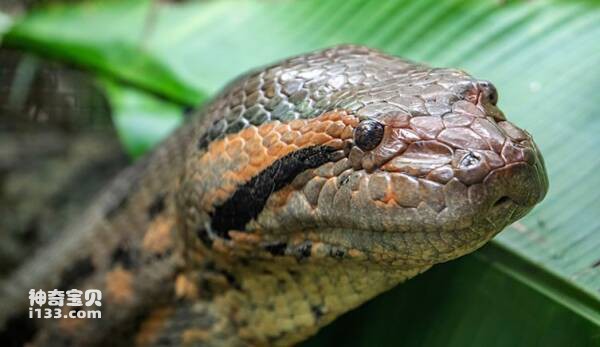 2023092410389132.jpg 8(1).jpg