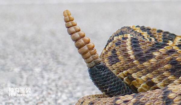 2023092413033806.jpg 11(1).jpg