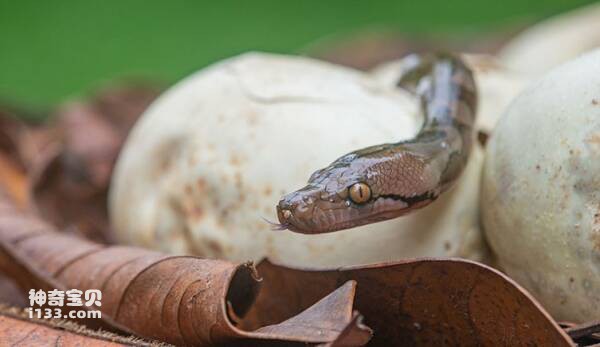 2023092413300747.jpg 2(1).jpg