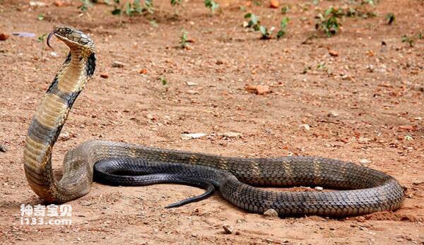 2023092416879256.jpg 3(1).jpg