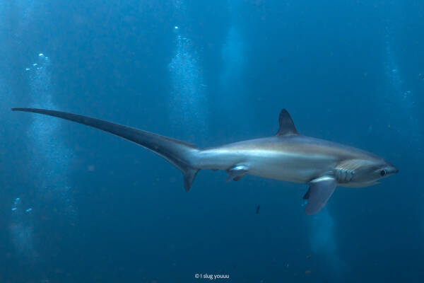 2023092418414498.jpeg 4(1).jpeg