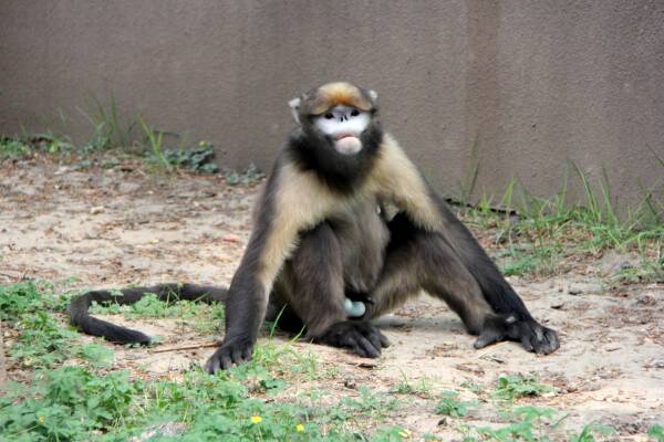 2023092420462820.jpeg 9(1).jpeg