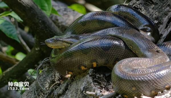 2023092468858217.jpg 7(1).jpg