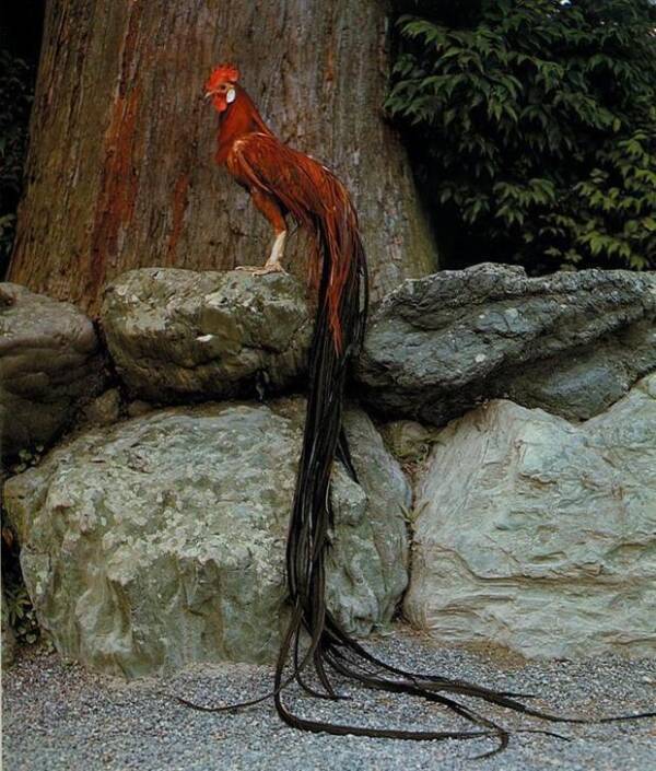 2023092478585493.jpeg 3(1).jpeg