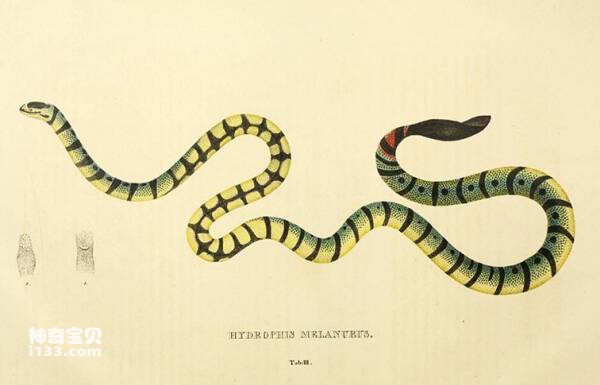 2023092487166922.jpg 5(1).jpg