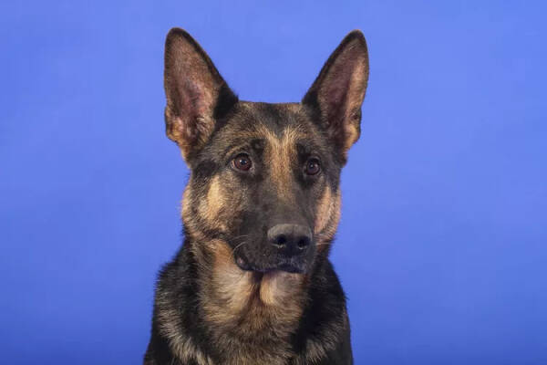 2023092516729625.jpeg 9(1).jpeg