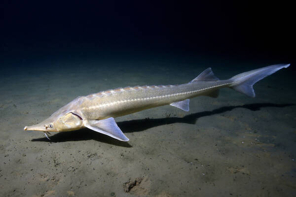 2023092712505879.jpeg 8(1).jpeg