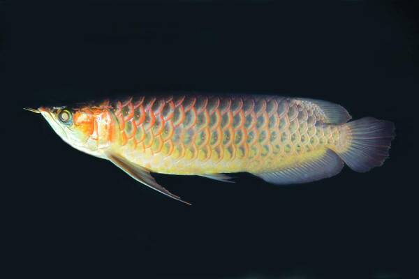 2023092713611215.jpeg 7(1).jpeg