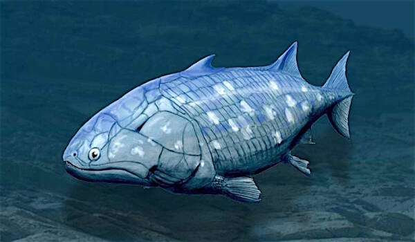 2023092762762600.jpeg 33(1).jpeg