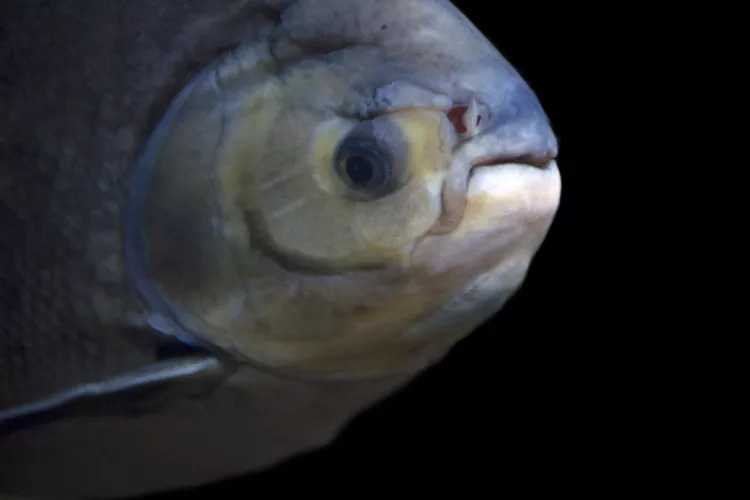 2023092820630601.jpeg 8.jpeg