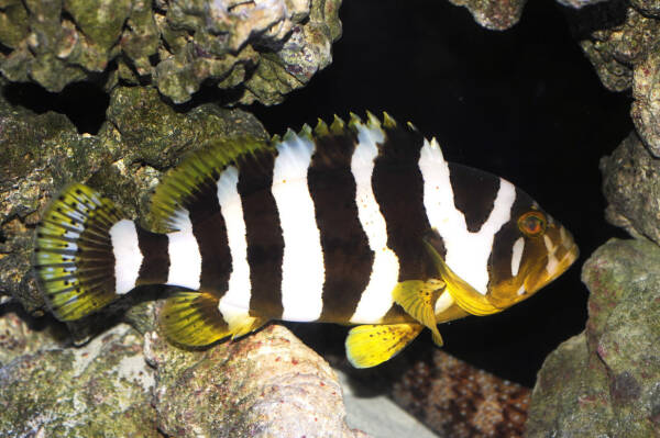 2023093017193444.jpeg 8(1).jpeg