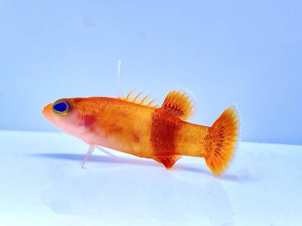 2023093020940930.jpeg 6(1).jpeg