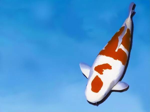 2023093053412256.jpeg 1(1).jpeg