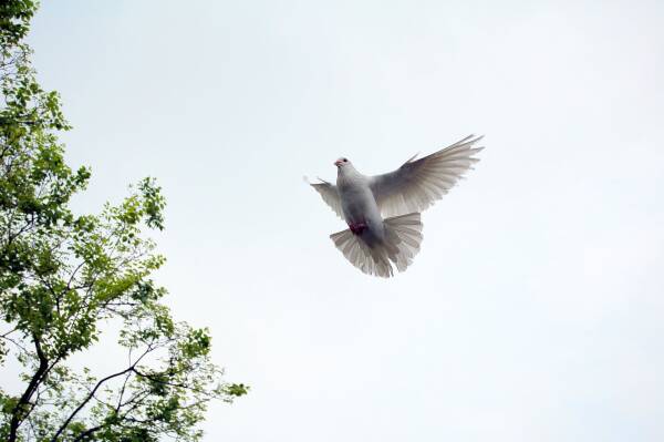 2023100612542010.jpeg 5(1).jpeg