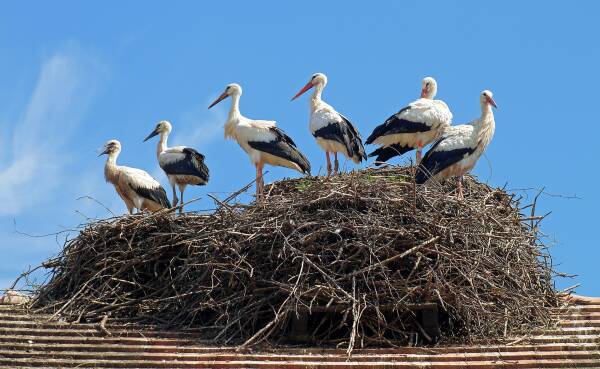 2023100616373145.jpeg 4(1).jpeg