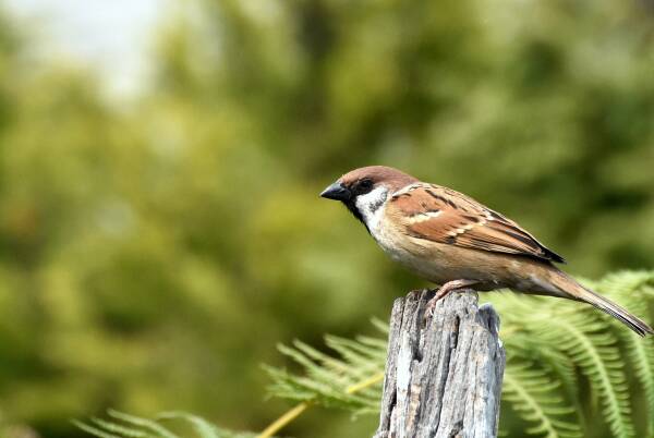 2023100619444599.jpeg 9(1).jpeg