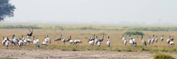 2023100682828773.jpeg 7(1).jpeg