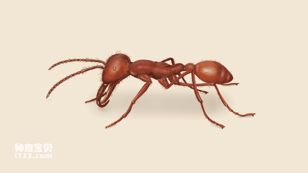 2023101610259905.png 6(1).png