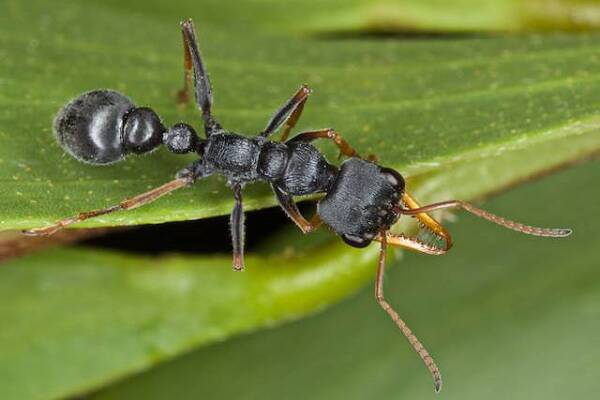 2023101629616275.jpeg 5(1).jpeg