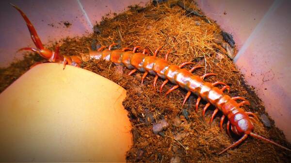 2023101920141665.jpeg 8(1).jpeg