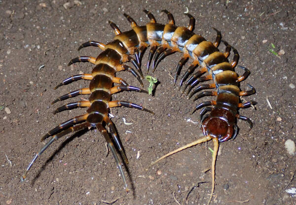 2023101960896061.jpeg 4(1).jpeg