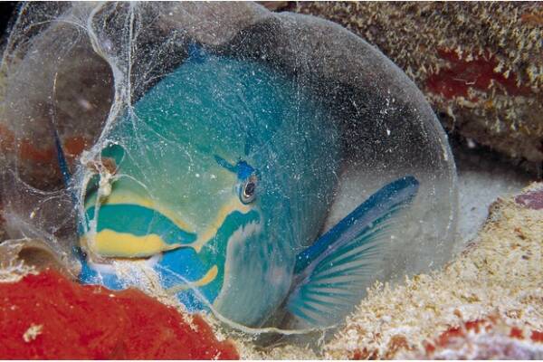 2023102110873773.jpeg 6(1).jpeg