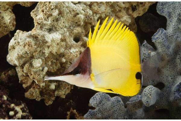 2023102110933929.jpeg 7(1).jpeg