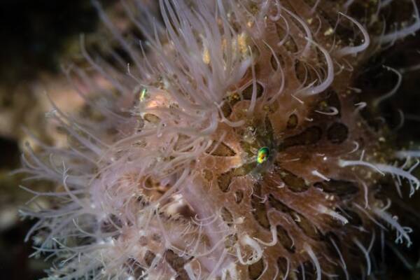 2023102118260046.jpeg 9(1).jpeg