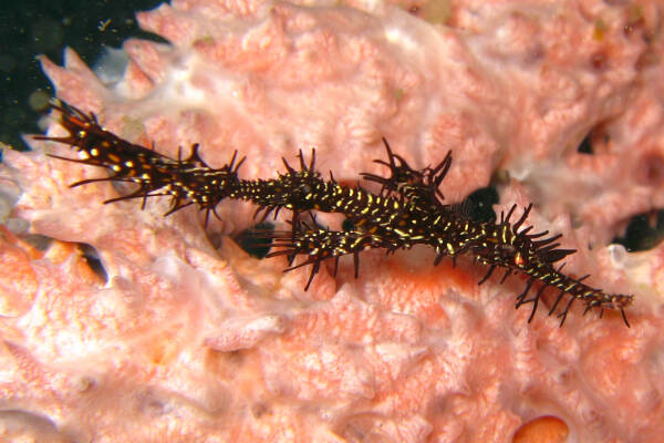 2023102120371247.jpeg 11(1).jpeg