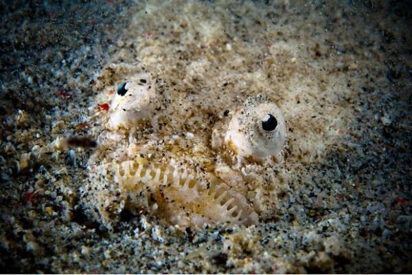 2023102121203904.jpeg 2(1).jpeg