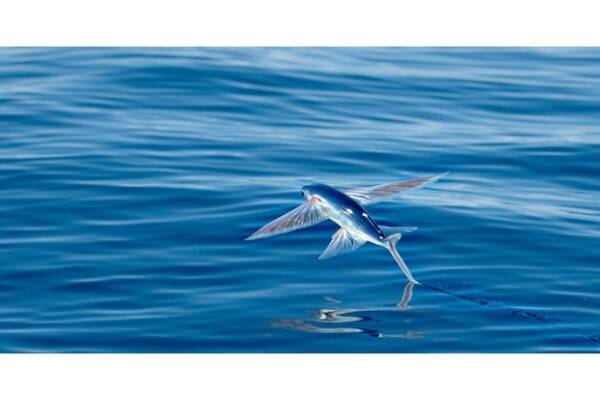 2023102153295815.jpeg 8(1).jpeg