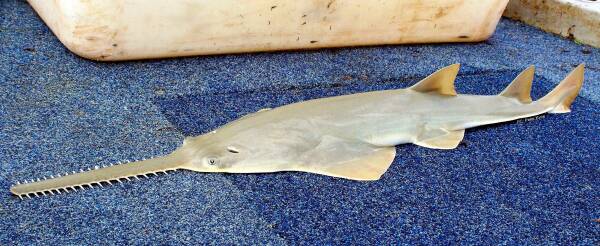 2023102182543912.jpeg 12(1).jpeg