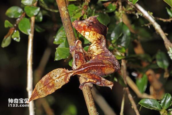 2023102511366555.jpg 2.jpg