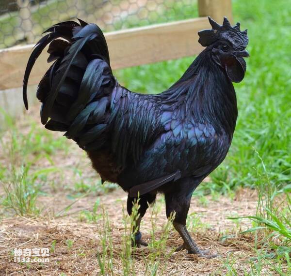 2023102511528339.jpg 3.jpg