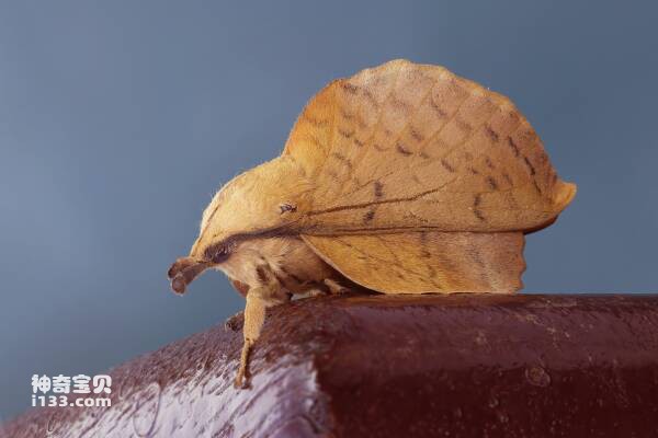 2023102511671922.jpg 9.jpg