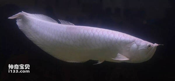 2023102513145602.jpg 4.jpg