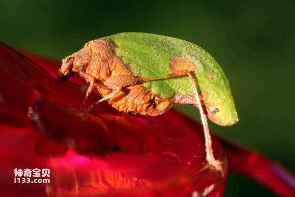 2023102515879500.jpg 8.jpg