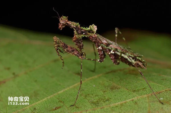 2023102521278193.jpg 5.jpg