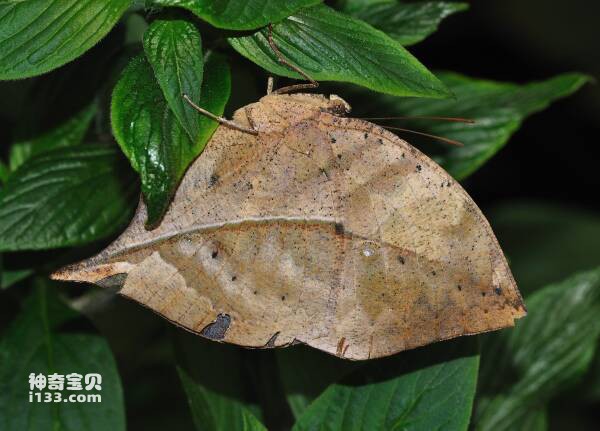 2023102526050997.jpg 33.jpg