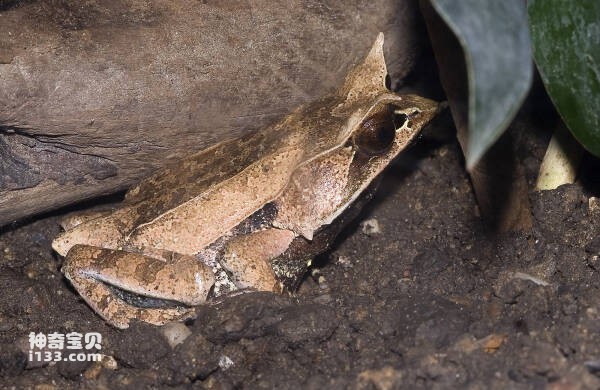 2023102529951206.jpg 4(1).jpg