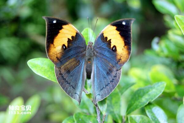 2023102538147520.jpg 3.jpg