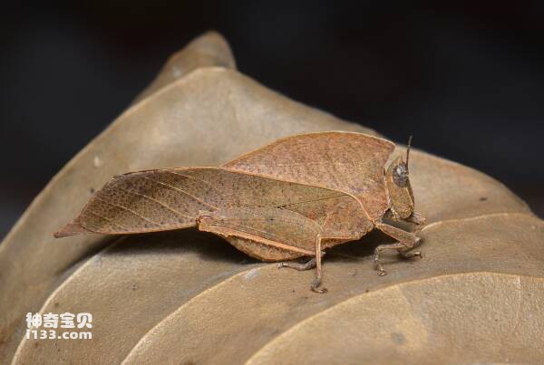 2023102555477862.jpg 6(1).jpg