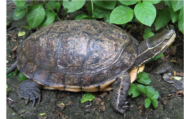 2023102620356267.jpeg 7(1).jpeg