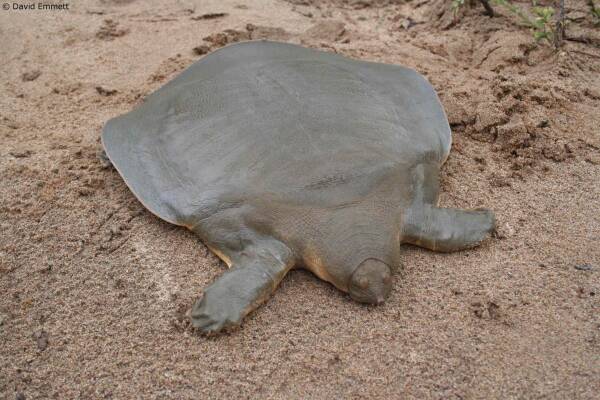 2023102622747278.jpeg 4(1).jpeg