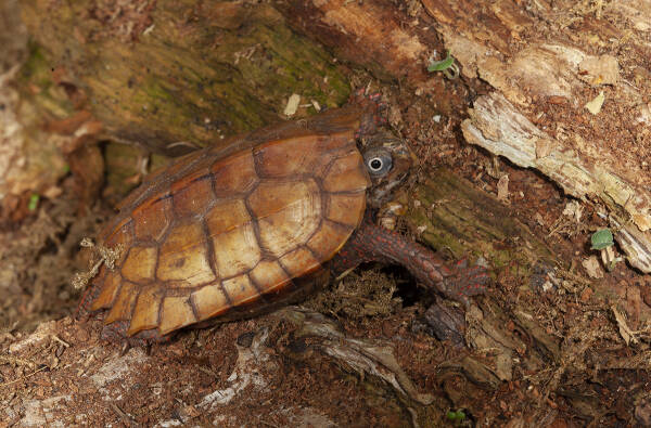 2023102662323973.jpeg 5(1).jpeg