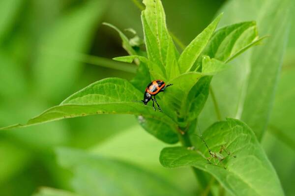 2023102711503843.jpeg 8(1).jpeg