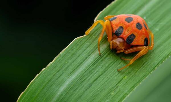 2023102714898858.jpeg 2(1).jpeg